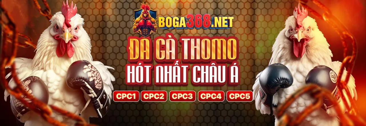Hình ảnh chính về cờ bạc có trách nhiệm tại 126bet