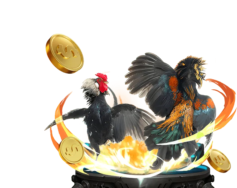 Ưu đãi chào mừng